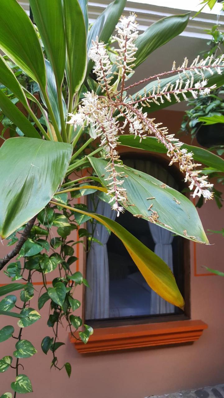 Hotel Posada San Jeronimo Coatepec  Zewnętrze zdjęcie